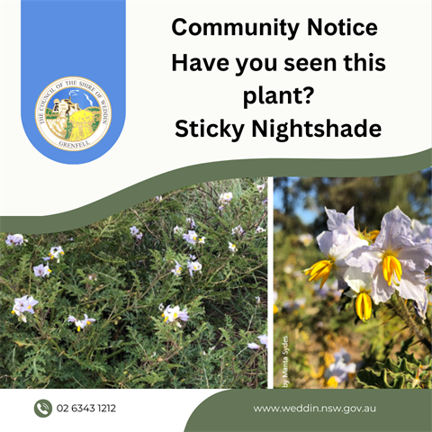 Community-Notice-Sticky-Night-Shade.png