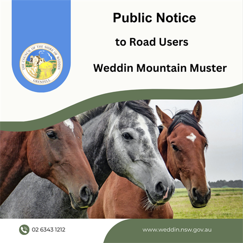 Community-Notice-to-road-users-Weddin-Mountain-Muster.png